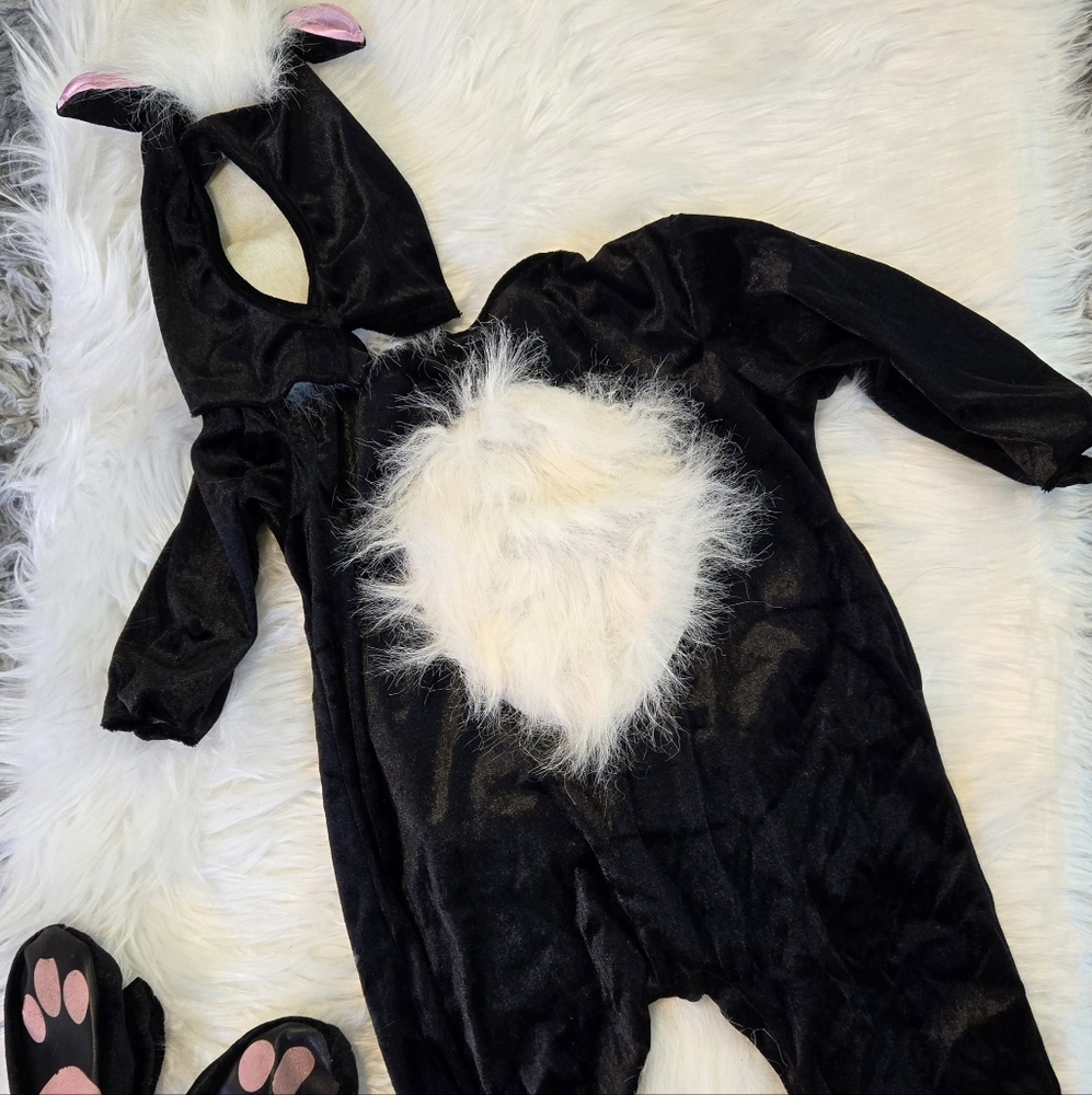 Little Skunk costume